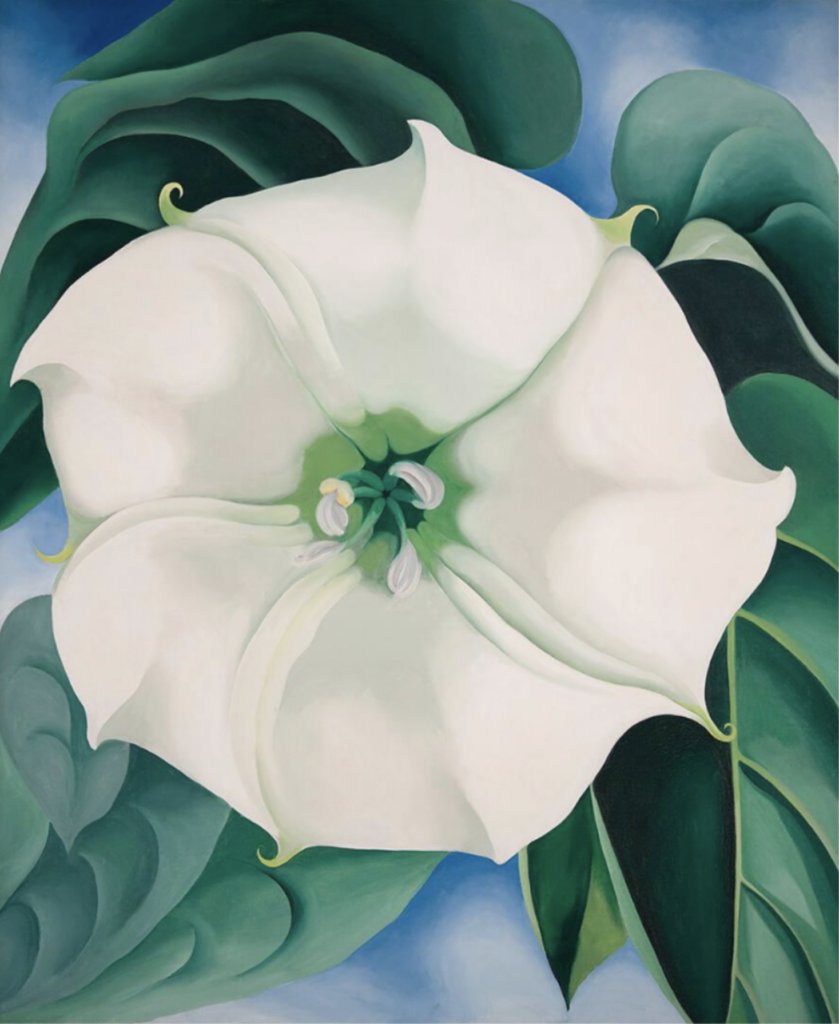 Large white flower dominant in center of canvas. Green leaves surrounding flower. Floating in a blue sky background.